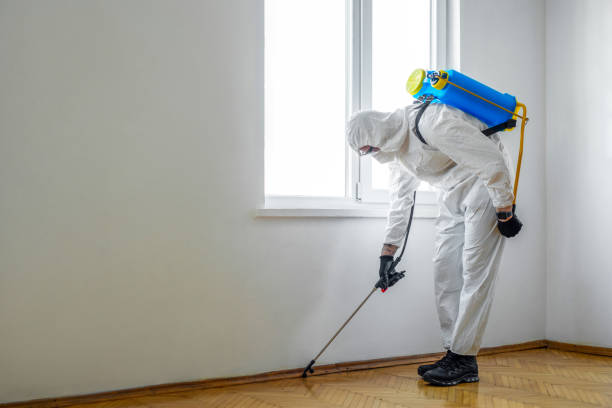 Best Emergency Pest Control  in Lancaster, WI