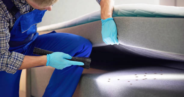 Best Ant Control Services  in Lancaster, WI