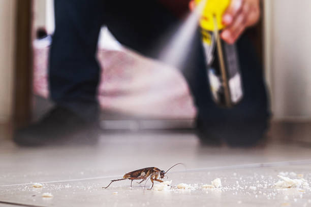 Professional Pest Control in Lancaster, WI