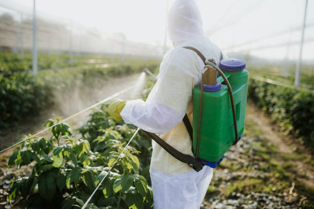 Best Wildlife Control Services  in Lancaster, WI